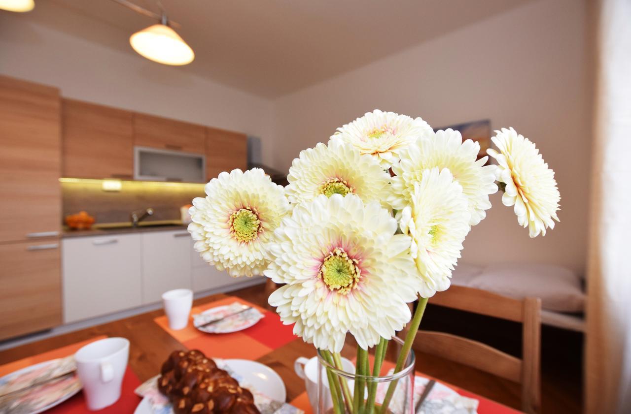 Appartement Cisarka